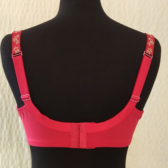 Elixir Floral Mesh Bra - Picture 4 of 4